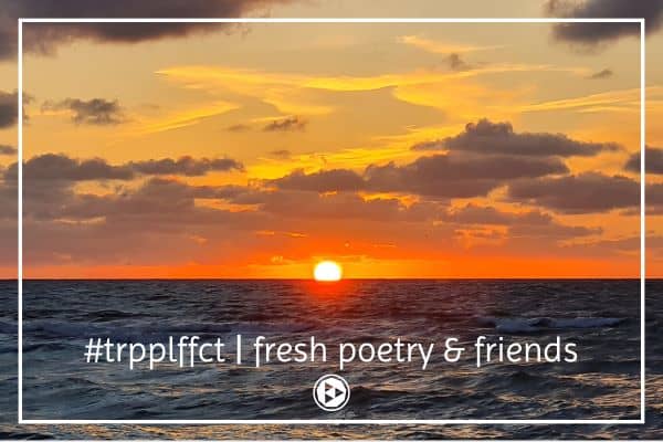 <p>An inbox magazine that delivers fresh poetry on Fridays, podcasts or cryptopoet diaries on selected Tuesdays with the ambition to make the world a bit more empathetic one poem at a time.</p>
